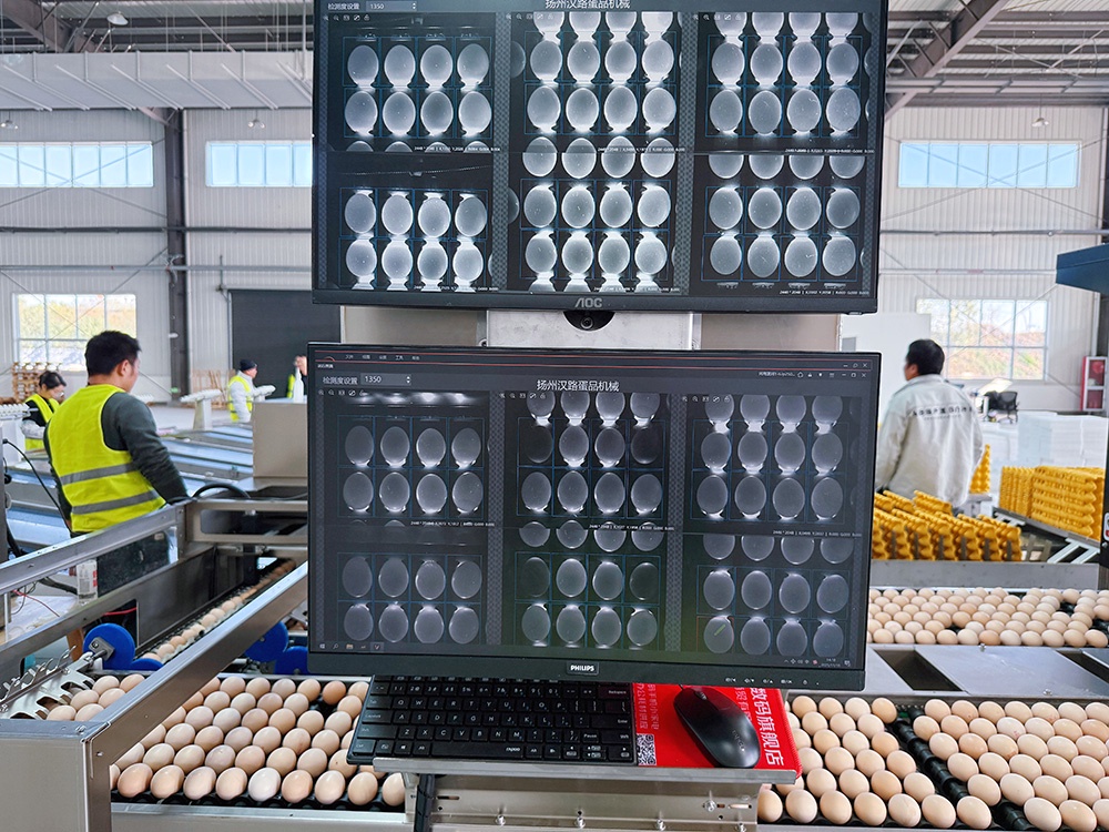 Utilizing optical imaging and integrating AI algorithms, the system accurately identifies and locates egg cracks, sending OK/NG signals to the removal device. The system demonstrates excellent stability and accuracy, with superior detection rates for micro-cracks and hidden cracks compared to human visual inspection using LED.