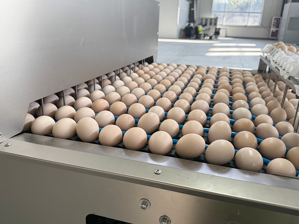 Gentle alignment, automatic alignment, ensuring egg delivery.