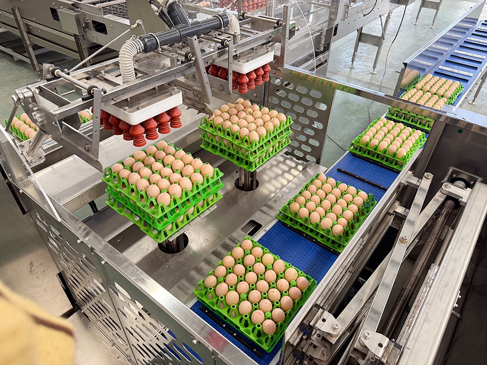 Accurate capture, stable delivery, and fully automated egg placement.