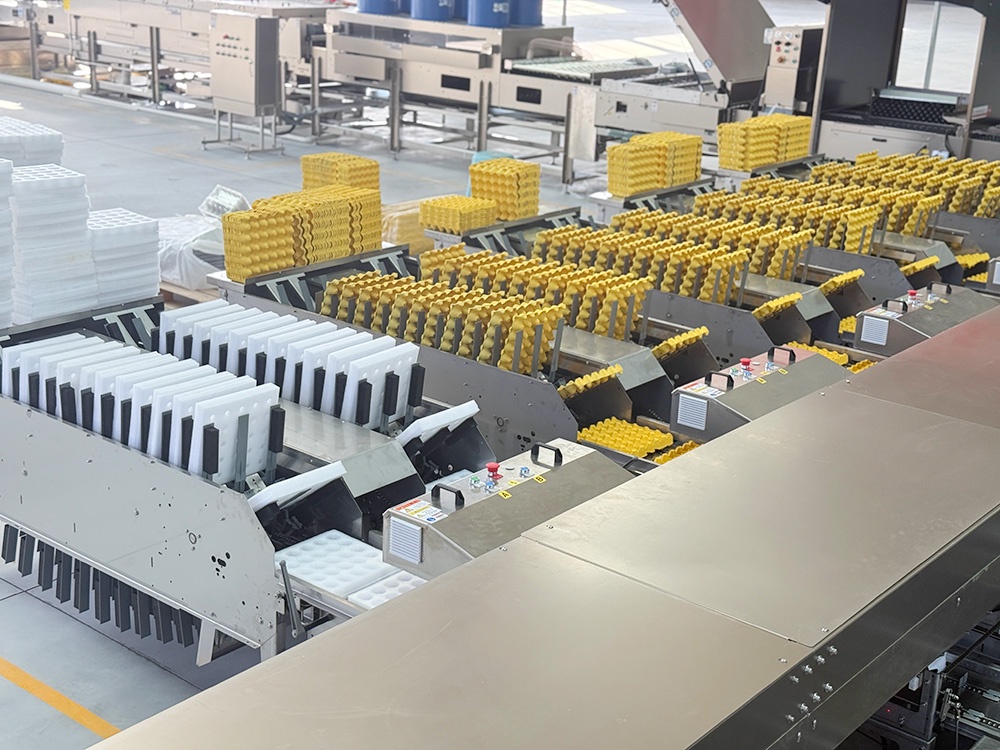 Suitable for high-yield breeding farms, it has a large footprint, numerous pallets, fast pallet dispatch, and flexibility. It is applicable to various specifications and materials of egg trays and models.</br>