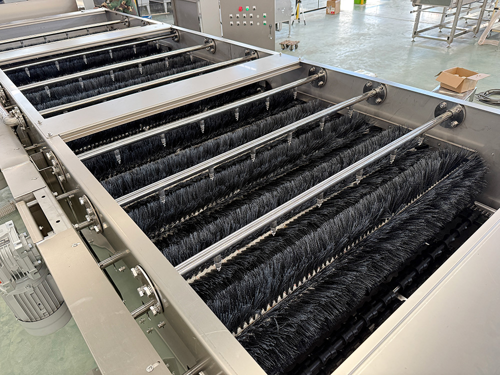 The specially designed brush thoroughly cleans the eggs using a cleaning system.