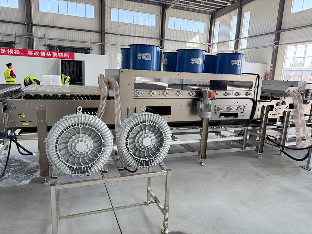 Three-stage drying system with low-temperature air supply, non-destructive drying to remove surface moisture from eggs.