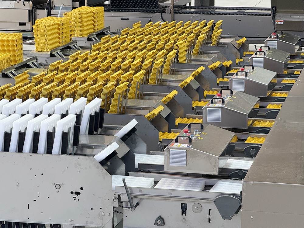 Auto Palletizing