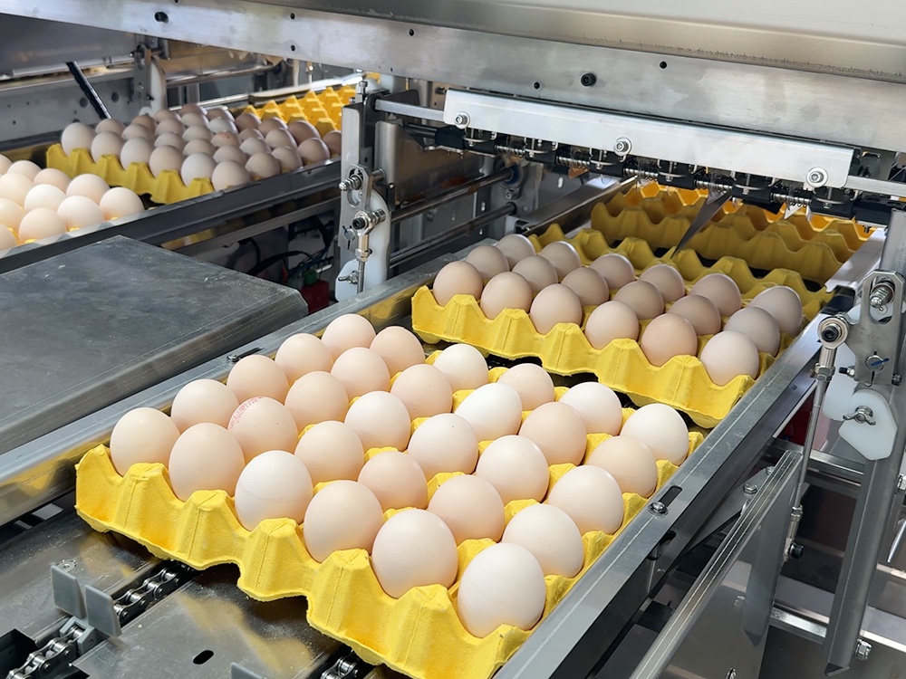Automatic Tray Loading
