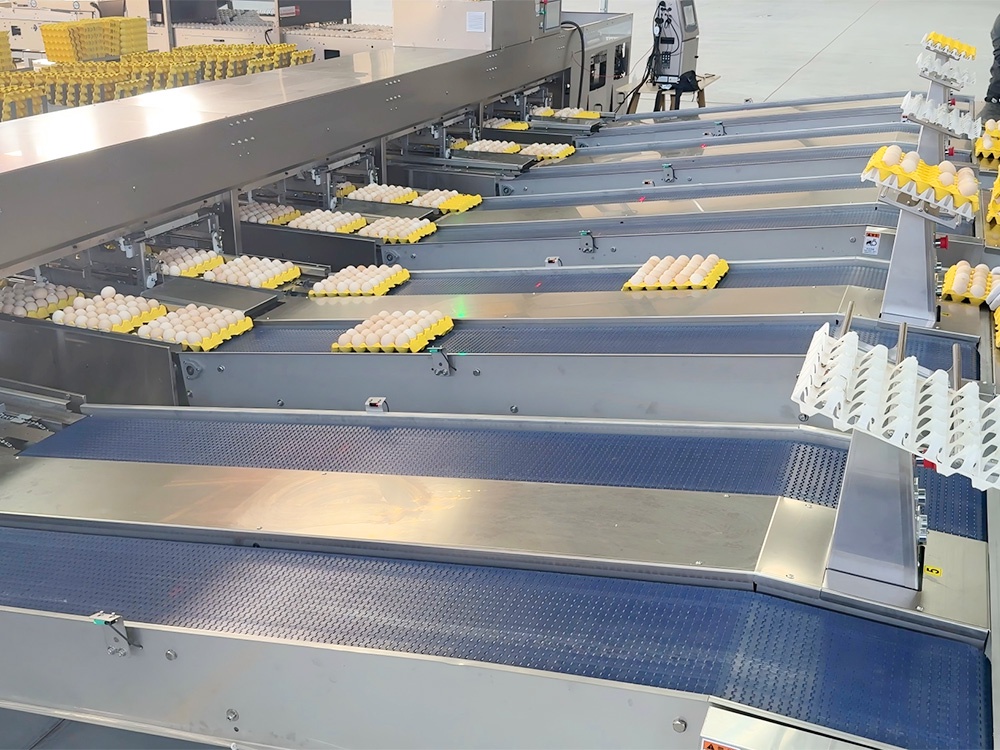 Conveyance and Packaging Line
