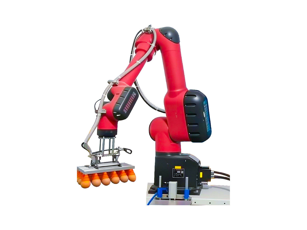 Robotic Egg Crate Loading Machine