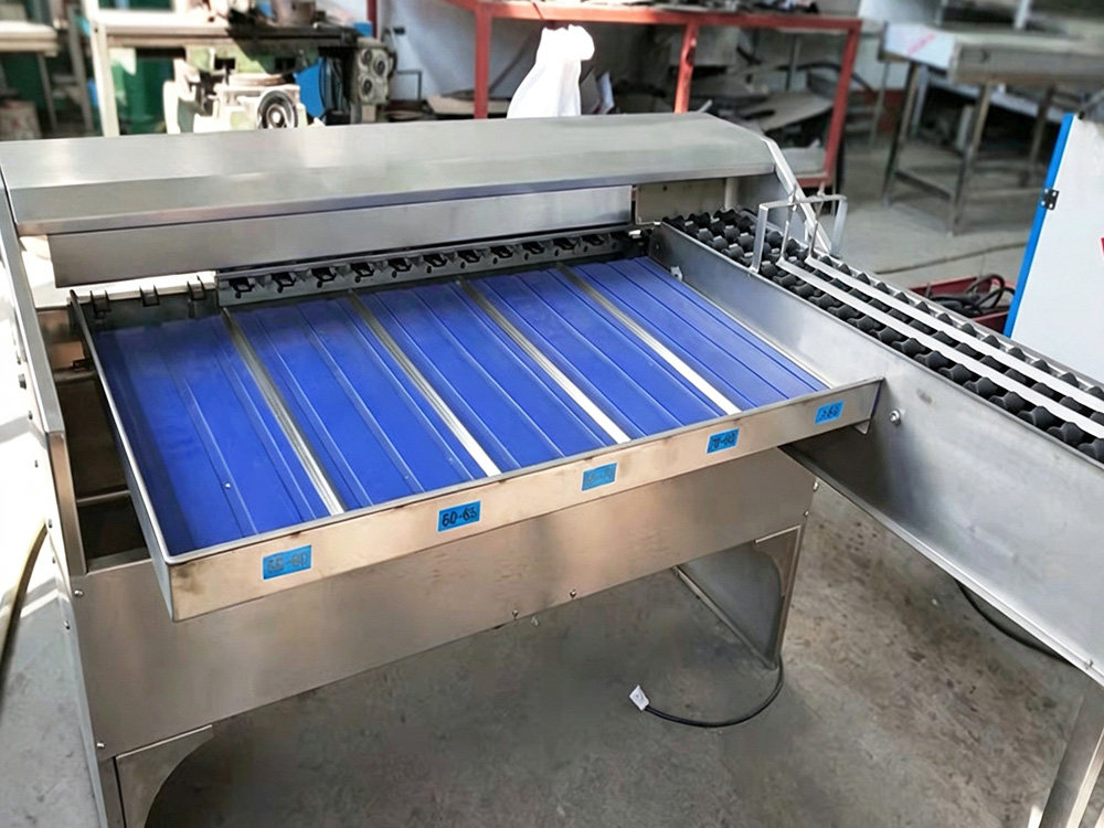 Compact Low-Capacity Egg Grader