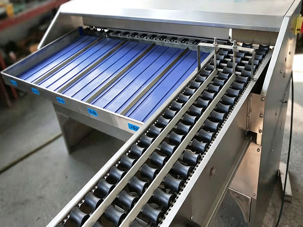 Compact Low-Capacity Egg Grader