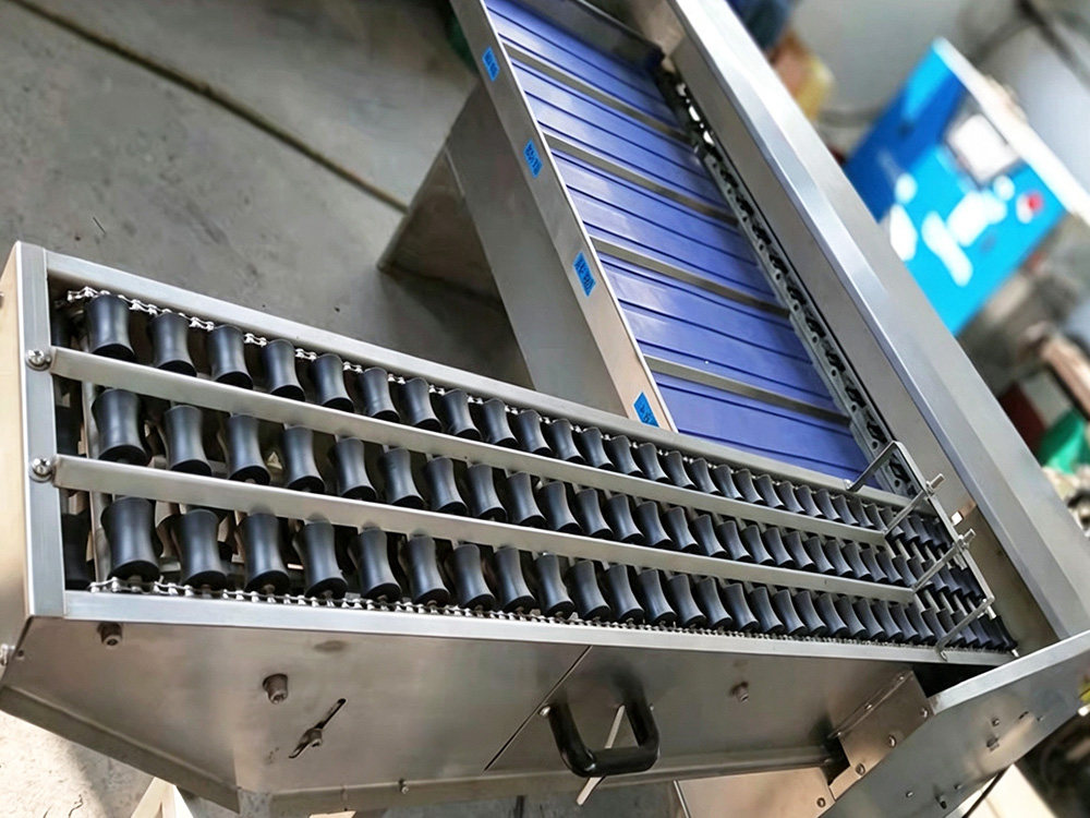 Compact Low-Capacity Egg Grader