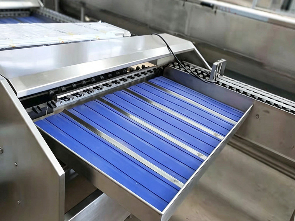 Compact Low-Capacity Egg Grader