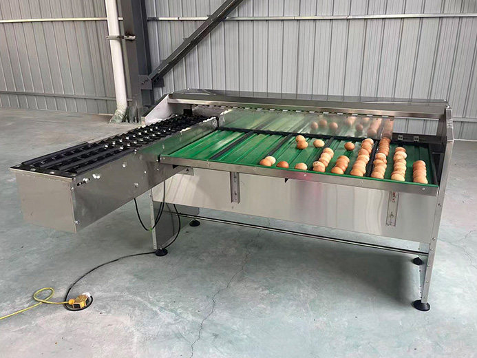 Compact Low-Capacity Egg Grader