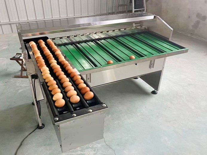 Compact Low-Capacity Egg Grader