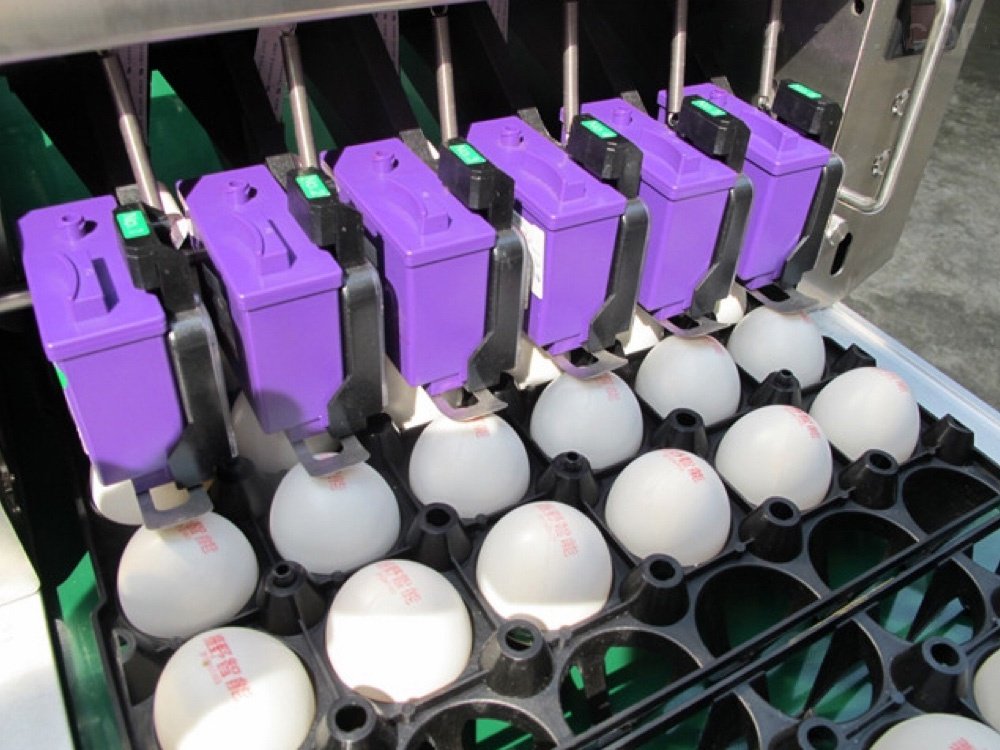 Inkjet Egg Printer