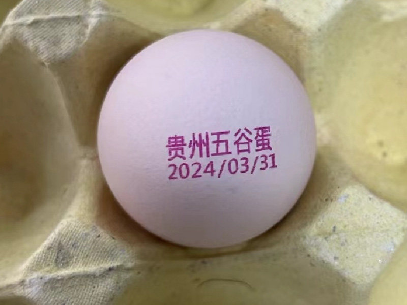 Inkjet Egg Printer