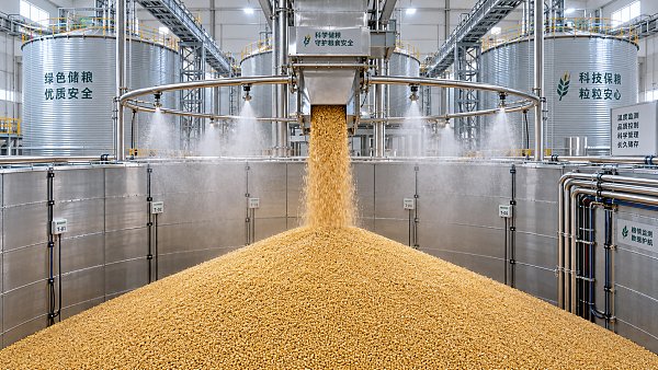 Using Insect Growth Regulators to Protect Stored Grain from Infestations