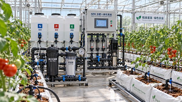 How Should You Apply Water Soluble NPK Fertilizers to Greenhouse Crops?
