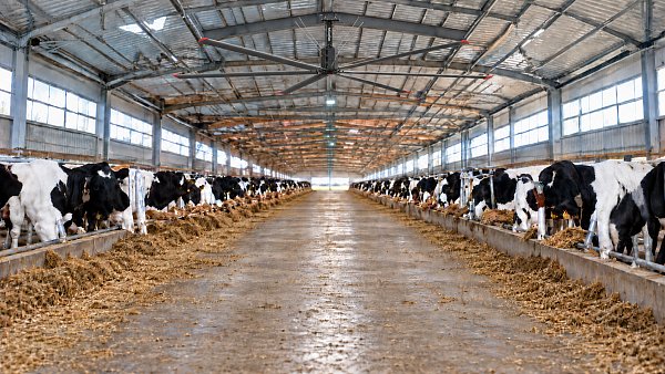 Airflow for the Win in Hot Spaces: How HVLS Fans Transform Large-Area Cooling