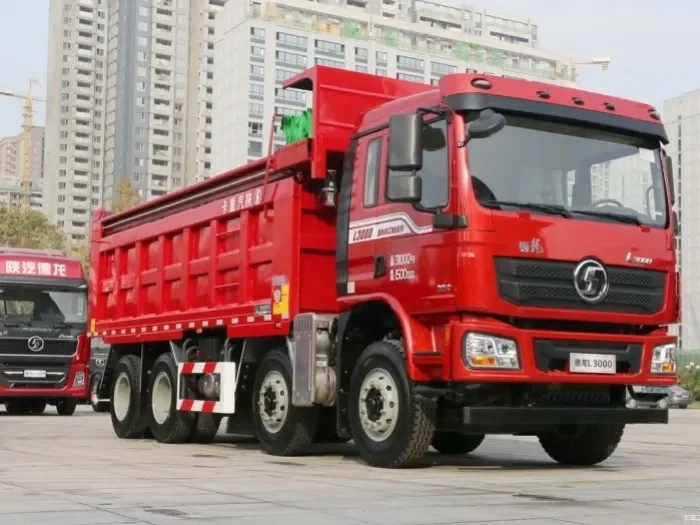 Volquete Shacman L3000 8X4 de 12 ruedas