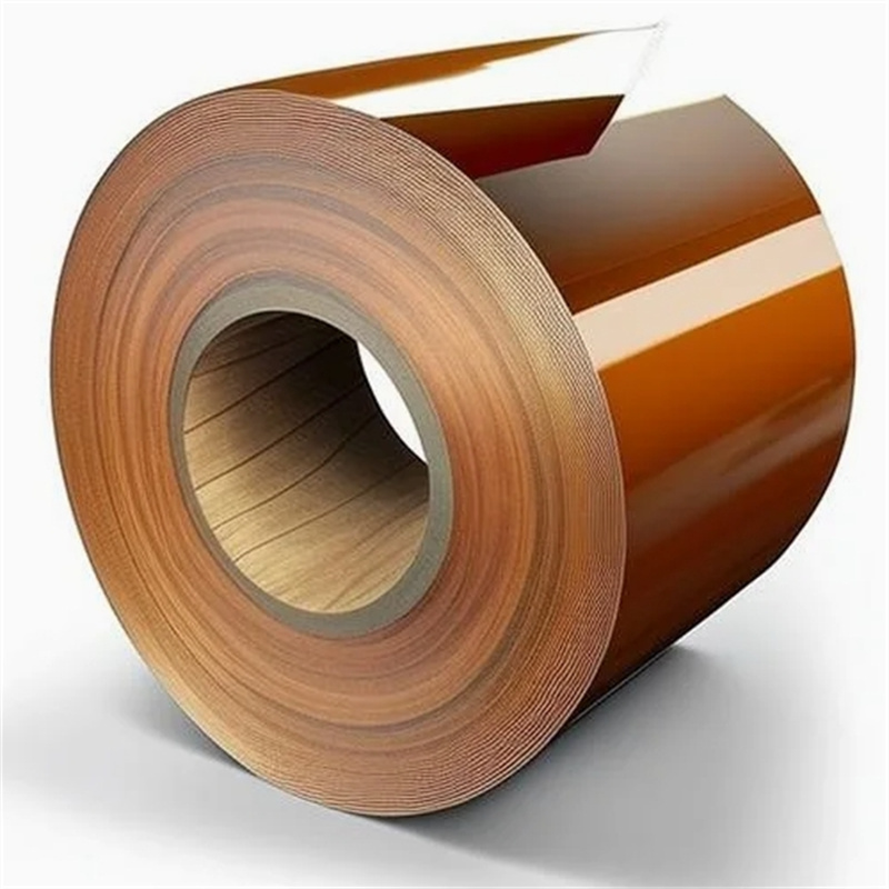 Color Coated Steel Coil for Household Appliances Color Coated Steel Coil for Household Appliances