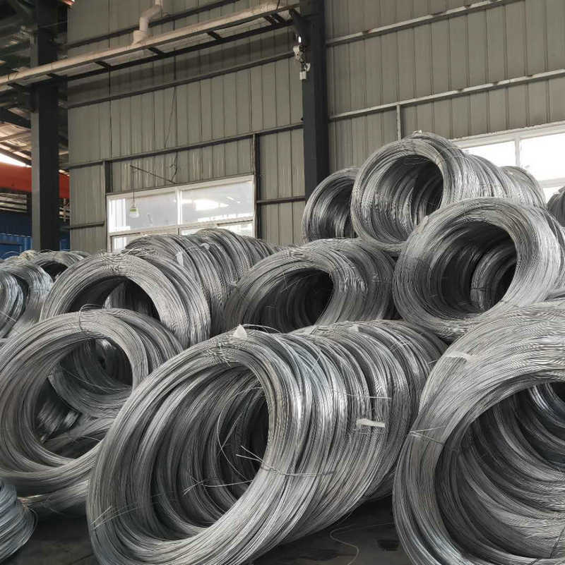 SAE 1008 Steel Wire Rod