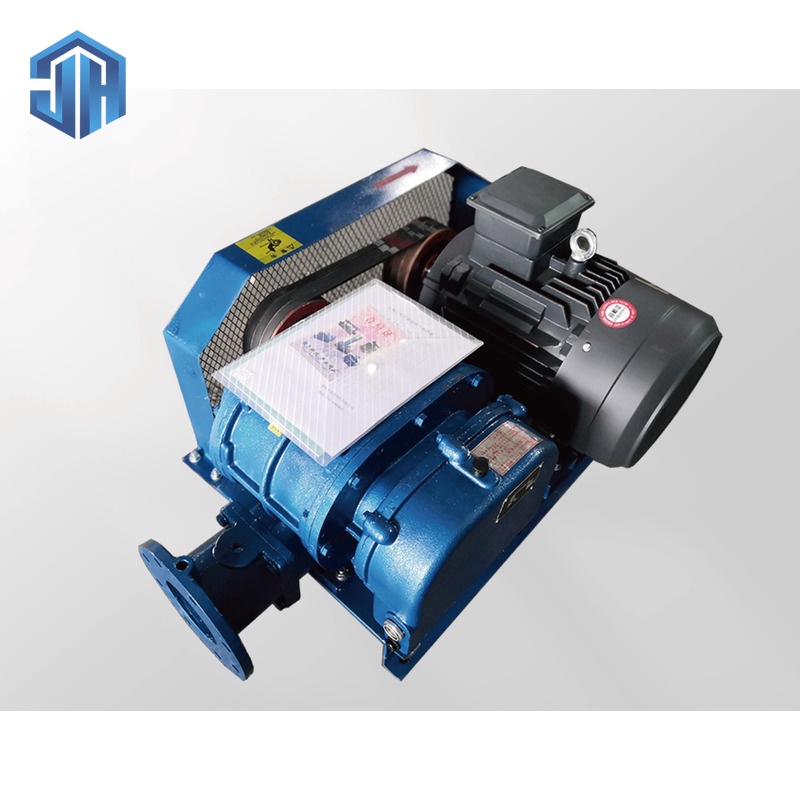 Roots Vacuum Pump