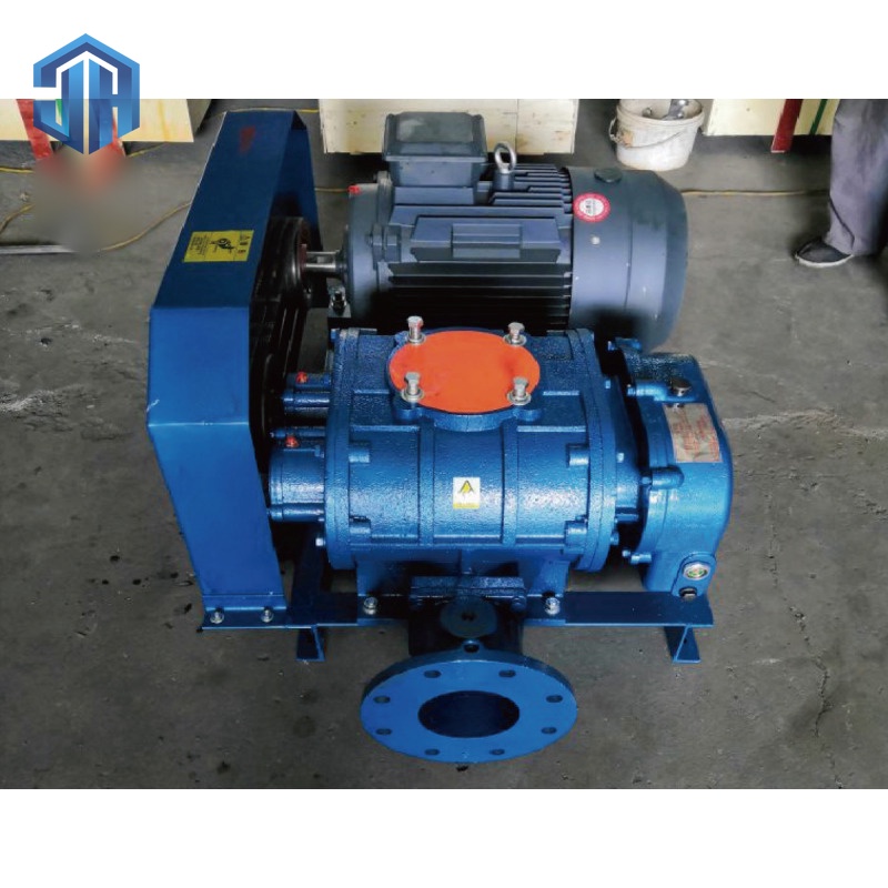 Roots Vacuum Pump