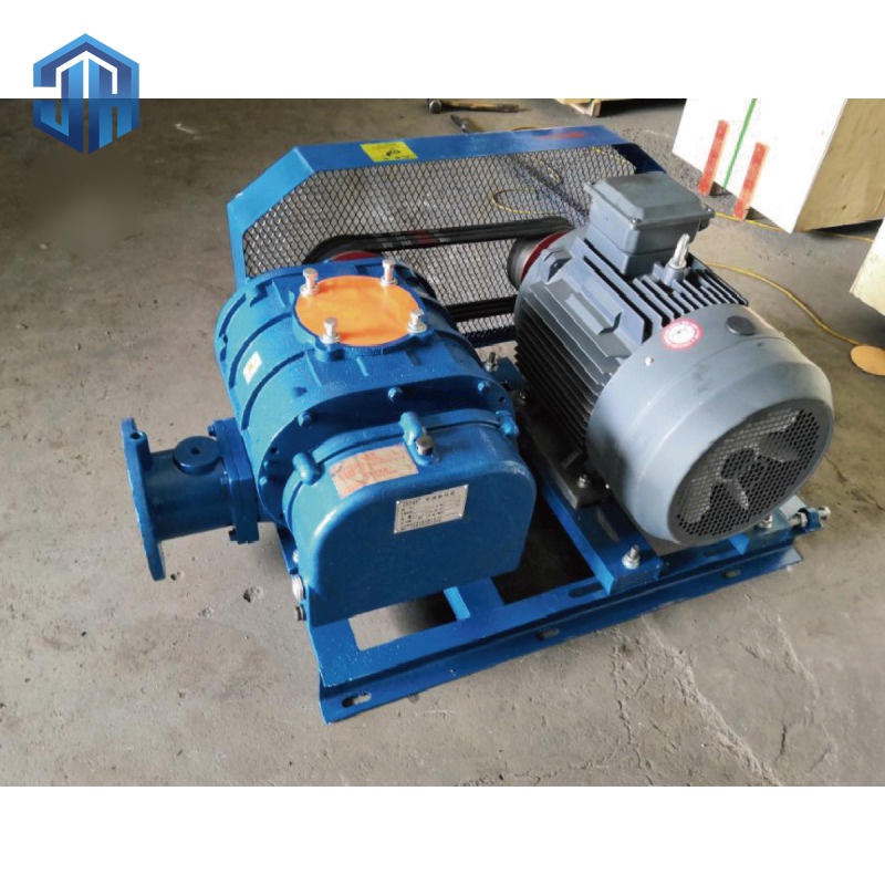 Roots Vacuum Pump
