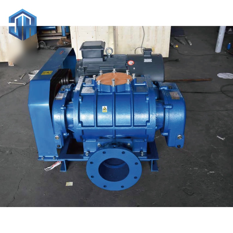 Roots Vacuum Pump