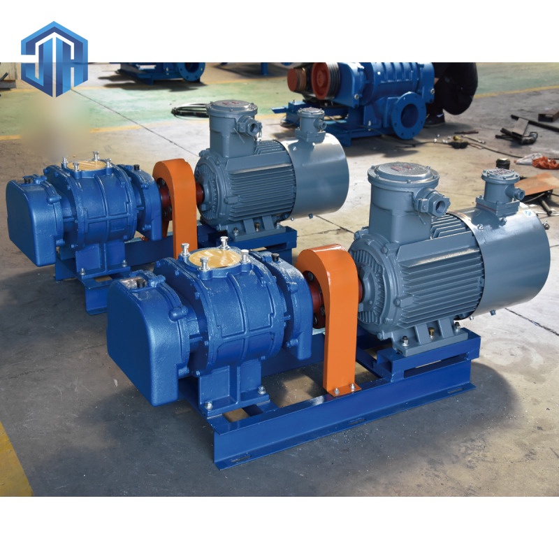 Direct-Drive Roots Blower