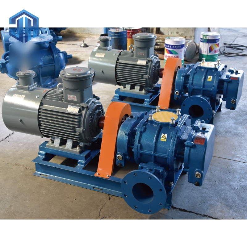 Direct-Drive Roots Blower
