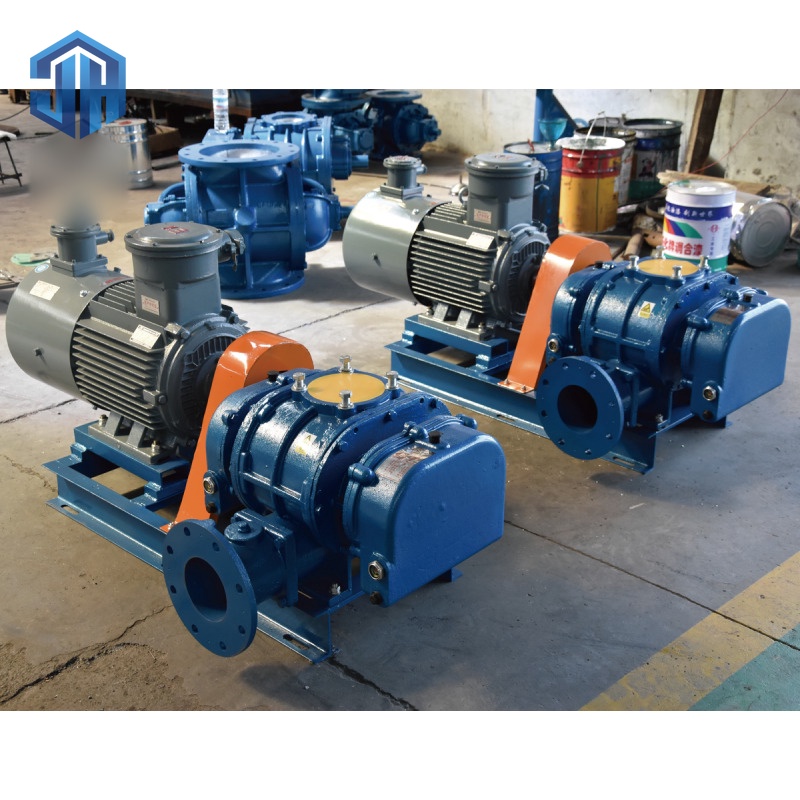 Direct-Drive Roots Blower
