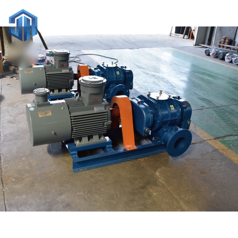 Direct-Drive Roots Blower