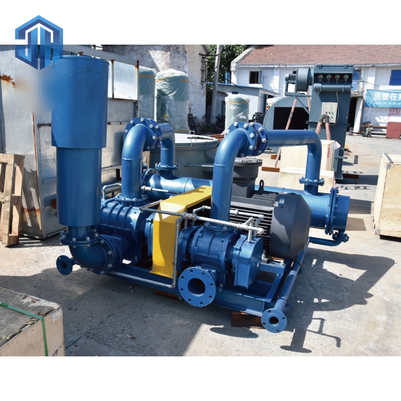 Two-Stage Series-Connected Roots blower