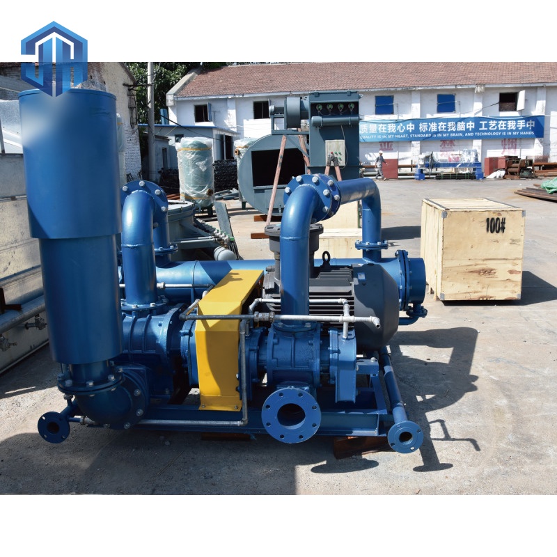 Two-Stage Series-Connected Roots blower