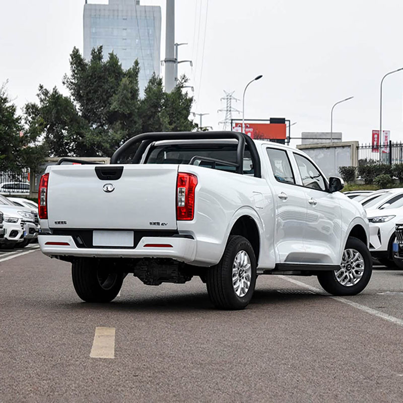 GWM POER EV Commercial Elite Double Duplex
