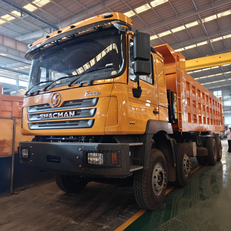 Camion-benne Shacman F3000 8x4 de Chine