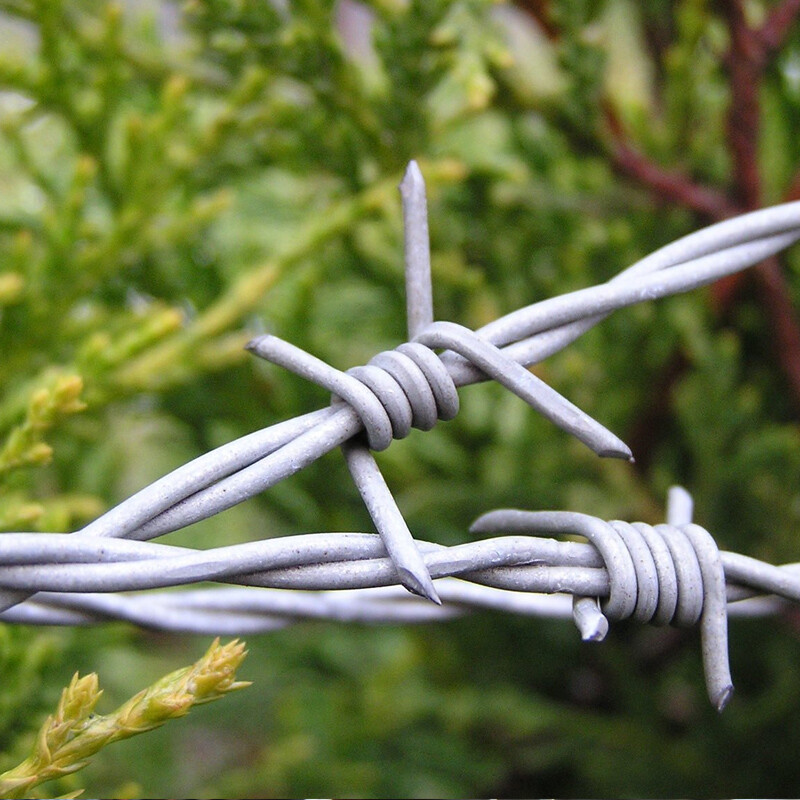 ​BWG11#-20# Barbed Wire