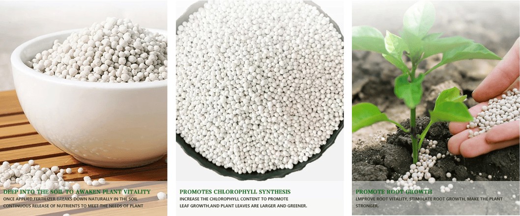 Soil-Revive-19-19-0-NPK-Compound-Fertilizer-Trace-Elements-Infused-Direct-Sale-Advantage.png Npk