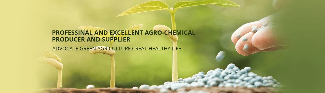 Mop-Sop-Based-NPK-Compound-Fertilizer-14-14-14-Water-Soluble-Suitable-for-Economical-Crops.png Mop