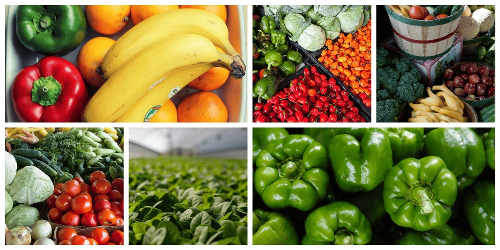Organic And lnorganic Compound Fertilizer