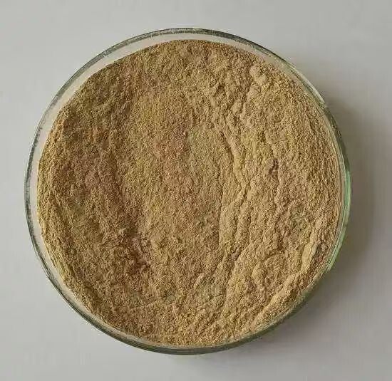 Agriculture Microbial Inoculants-Bacillus Megaterium