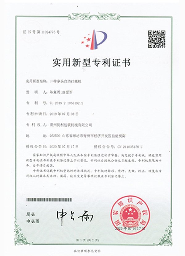 专利证书 (10)