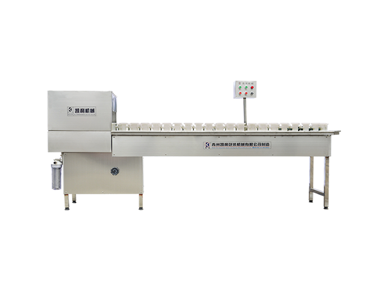 CP-30 Single-Row Chain-Track Bottle Rinsing Machine