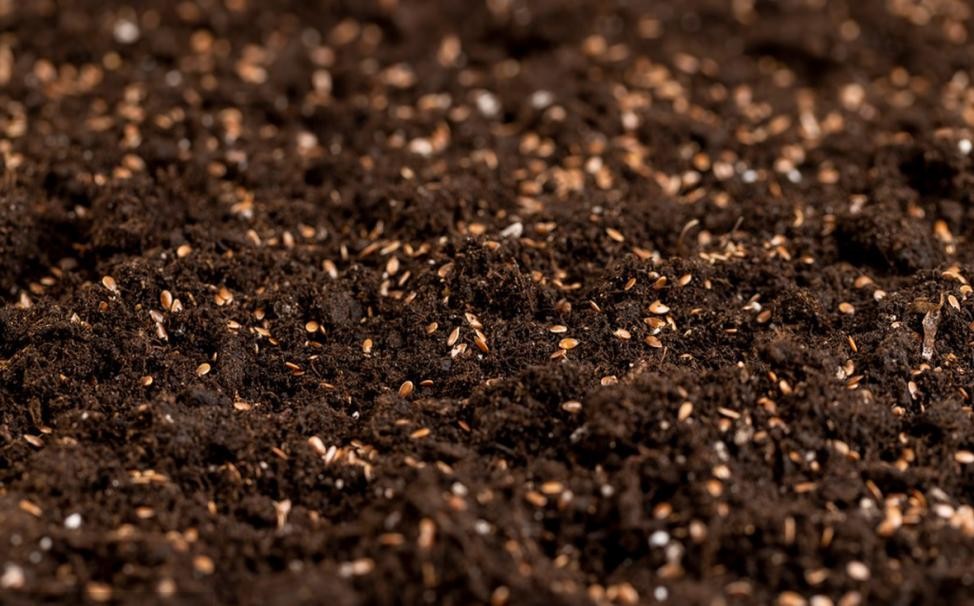 L’irrigation et la pulvérisation des cultures sous serre renforcent la production agricole et permettent des applications écologiques dans de multiples scénarios.