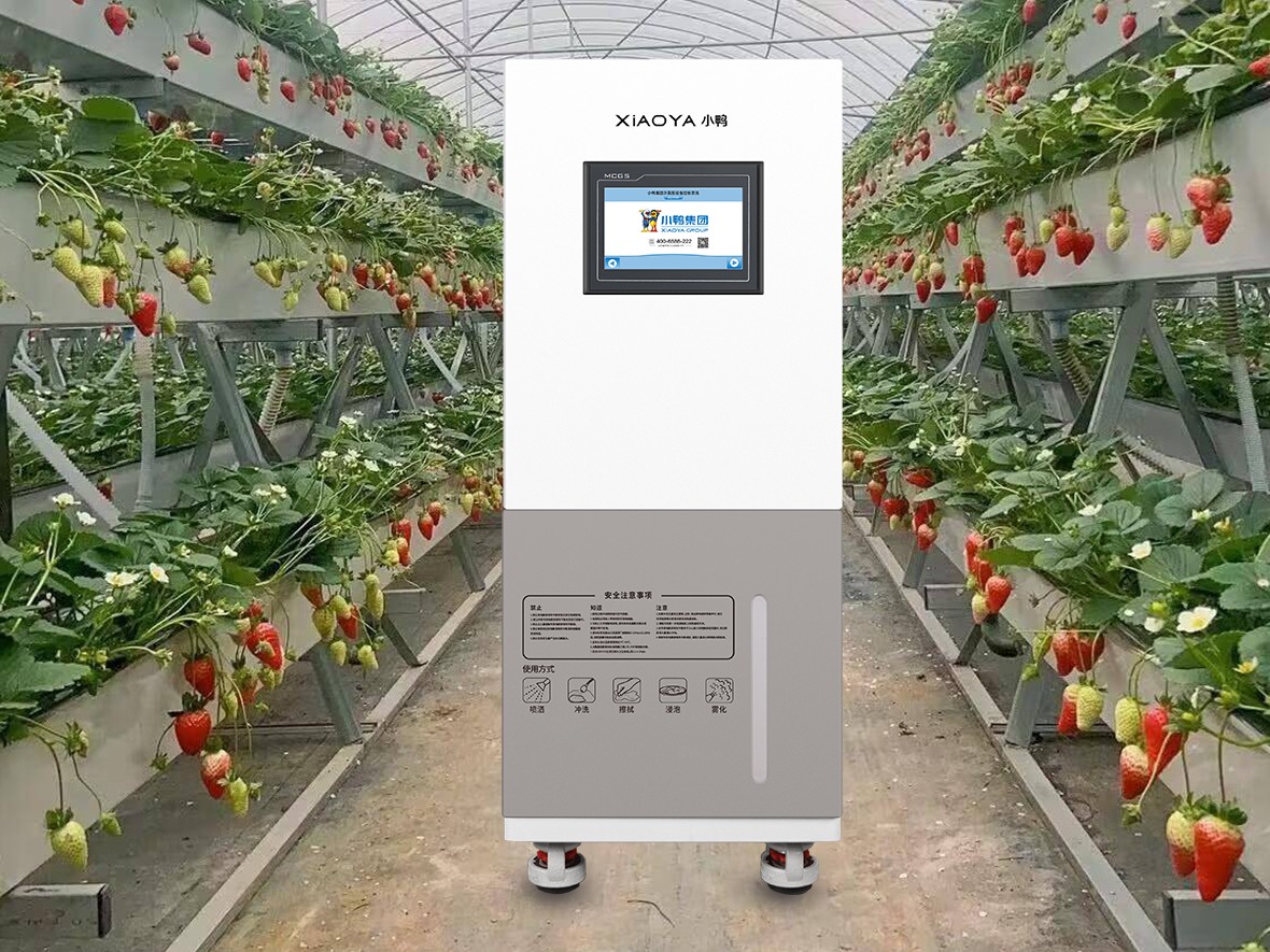 La technologie de l’acide hypochloreux dynamise la filière de la fraise : amélioration de la qualité et de l’efficacité