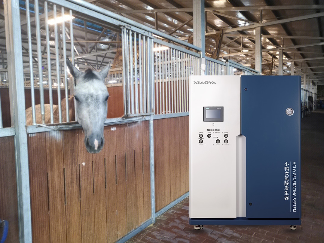 Le générateur d’acide hypochloreux établit une solide barrière verte de prévention des épidémies pour les élevages de chevaux