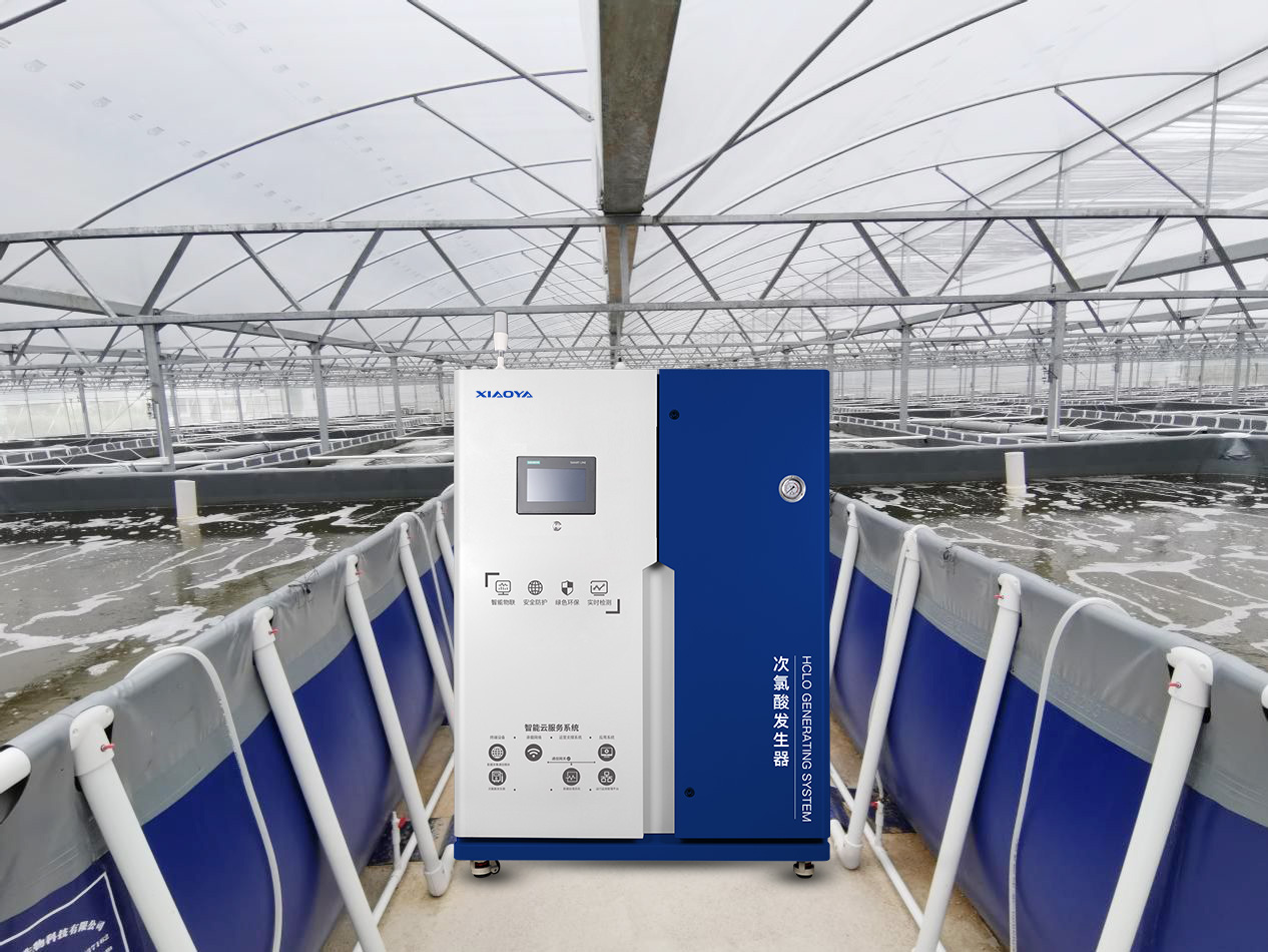 Percée dans l’aquaculture durable ! La technologie d’anolyte neutre à base d’acide hypochloreux permet à l’industrie de la crevette d’améliorer sa qualité et son efficacité