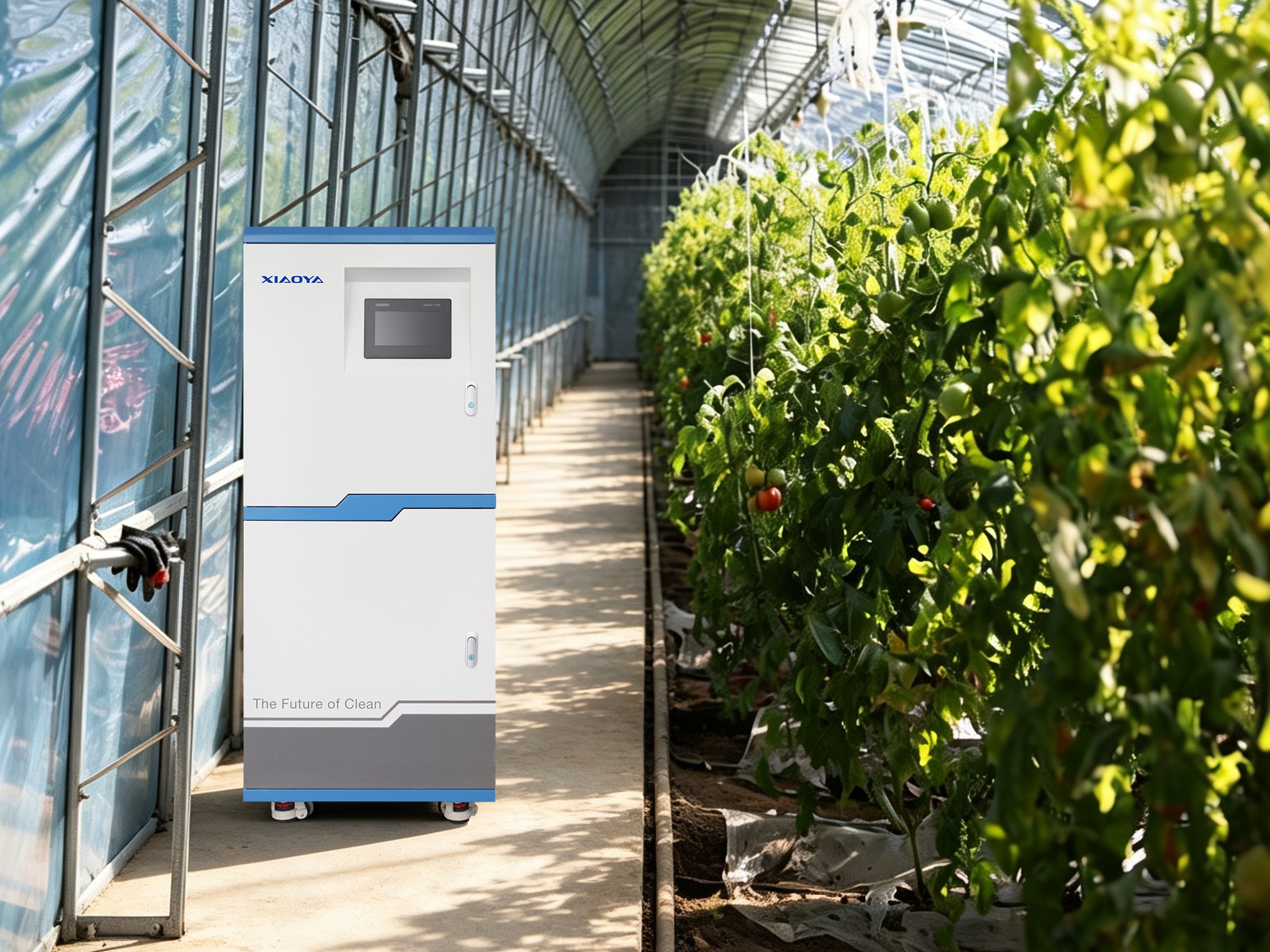 Les générateurs d’acide hypochloreux électrolytique au sel contribuent à moderniser l’agriculture en installations