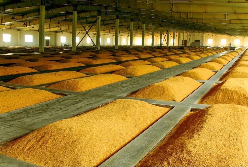 La pulverización de riego para cultivos de invernadero impulsa la producción agrícola y permite aplicaciones ecológicas en múltiples escenarios.