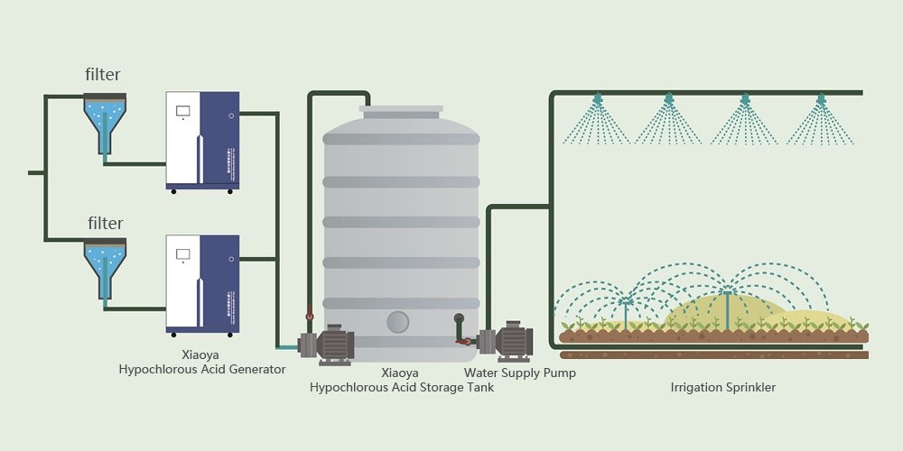 Agricultura de precisión: optimización de la concentración de HOCl para diferentes cultivos